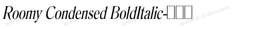 Roomy Condensed BoldItalic字体转换